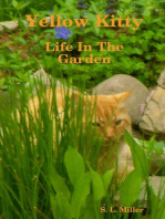 Yellow Kitty: Life In the Garden