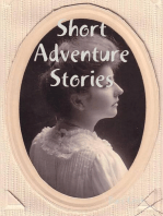 Short Adventure Stories