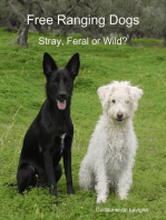 Free Ranging Dogs - Stray, Feral or Wild?