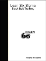Lean Six Sigma - Black Belt Training