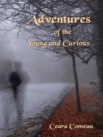 Adventures of the Young and Curious