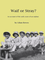 Waif or Stray?