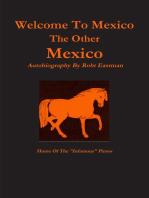 Welcome to Mexico : The Other Mexico: Home Of The "Infamous" Pintos