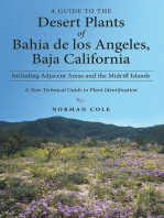 A Guide to the Desert Plants of Bahia De Los Angeles, Baja California - Including Adjacent Areas and the Midriff Islands - a Non-Technical Guide to Plant Identification