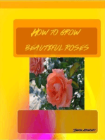 How to Grow : Beautiful Roses