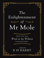 The Enlightenment of Mr Mole: Based On the Book Wind In the Willows By Kenneth Graham