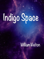 Indigo Space