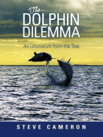 The Dolphin Dilemma