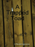 A Trapped Toad