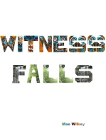 Witness Falls