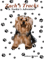 Zach’s Tracks: A Yorkie's Adventure