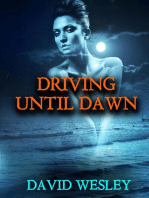 Driving Until Dawn