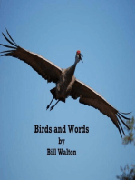 Birds and Words