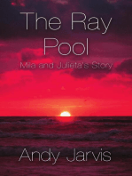 The Ray Pool