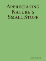 Appreciating Nature's Small Stuff