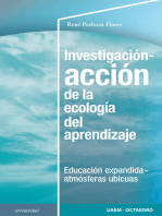 Investigación-acción de la ecología del aprendizaje