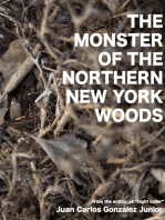 The Monster of the Northern New York Woods