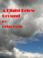A Flight Below Ground