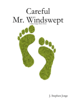 Careful Mr. Windswept: A DecAmigo Short Story