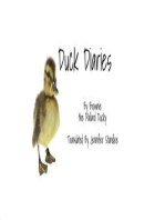 Duck Dairies