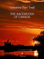The backwoods of Canada