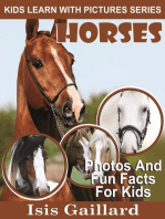 Horses Photos and Fun Facts for Kids