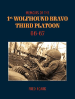 Memoirs of 1st Wolfhounds Bravo's Third Platoon 66-67