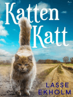 Katten Katt: -