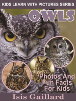 Owls Photos and Fun Facts for Kids