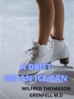 A Drift On An Ice-pan