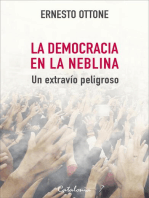 La democracia en la neblina