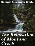 The Relocation of Montana Creek