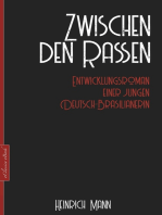 Heinrich Mann: Zwischen den Rassen: Entwicklungsroman einer jungen Deutsch-Brasilianerin