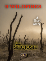 9 Wildfires: A Short Story