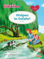 Bibi & Tina - Welpen in Gefahr!: Erstlesebuch