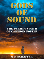 Gods of Sound: The Perilous Path of Cameron Foster