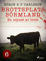 Brottsplats Sörmland. 6, En odyssé av brott