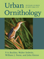 Urban Ornithology