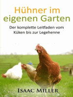 Hühner im eigenen Garten