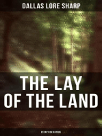 The Lay of the Land