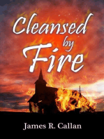Cleansed by Fire: Father Frank Mystery Series, #1