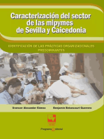 Caracterización del sector de las mipymes de Sevilla y Caicedonia:: identificación de las prácticas organizacionales predominantes.