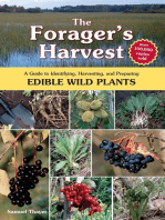 The Forager's Harvest: A Guide to Identifying, Harvesting, and Preparing Edible Wild Plants