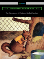 The Adventures of Chatterer the Red Squirrel