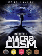 Into the Macrocosm