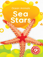 Sea Stars