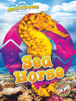 Animal Life Cycles: Sea Horse