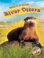 River Otters