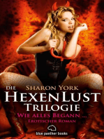 Die HexenLust Trilogie - Wie alles begann | Erotischer Roman