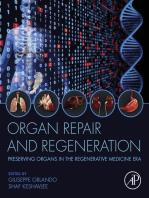 Organ Repair and Regeneration: Preserving Organs in the Regenerative Medicine Era